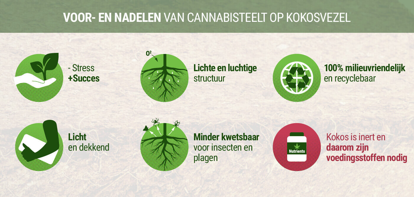 Voor- en Nadelen van Cannabisteelt op Kokosvezel