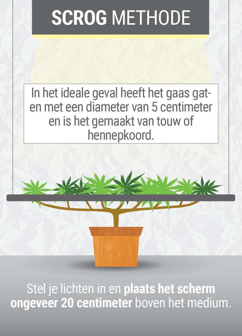 Wat is de ScrOG-Techniek? Wat is de ScrOG-Techniek?