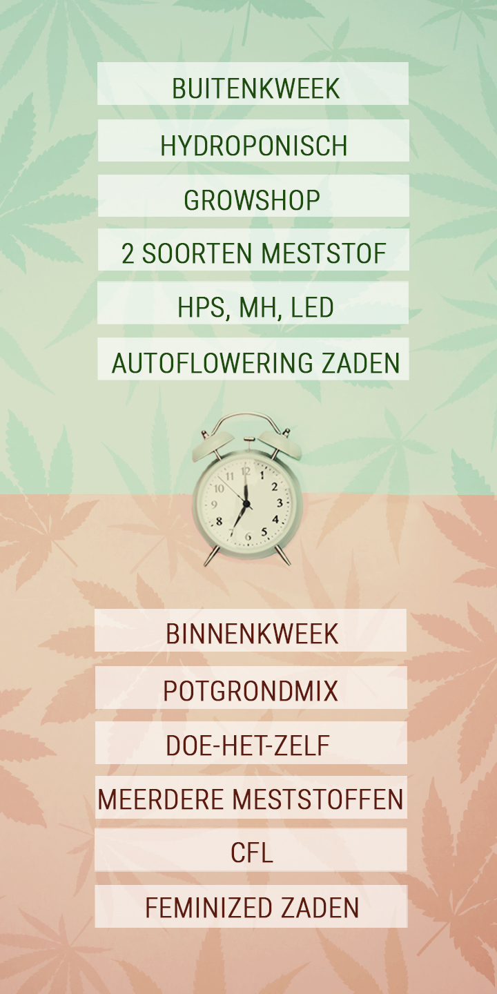 Tijdbesparende tips voor drukke cannabiskwekers Tijdbesparende tips voor drukke cannabiskwekers