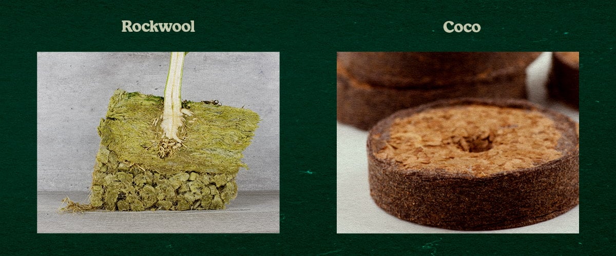 Vergelijking Rockwool en Coco Substraten voor Planten Vergelijking van Rockwool- en Coco-substraten, met plant in groen Rockwool en een ronde Coco-schijf, getest voor groei.