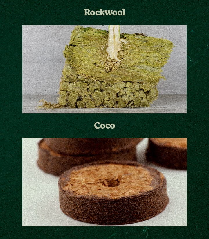 Vergelijking Rockwool en Coco Substraten voor Planten Vergelijking van Rockwool- en Coco-substraten, met plant in groen Rockwool en een ronde Coco-schijf, getest voor groei.