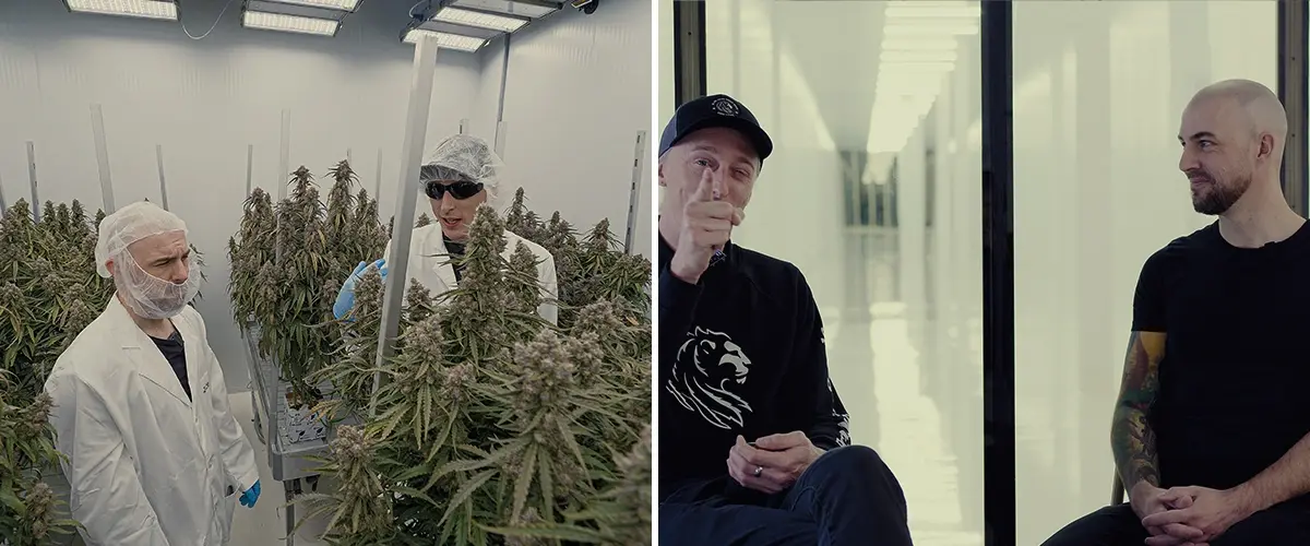 Simon CRIC Labs Cannabis Onderzoek Rol Gids Een illustratie van Simon van CRIC Labs die met Max over zijn onderzoeksrol spreekt, tegen een geavanceerde indoor kweekruimte met cannabisplanten, dataverzameltools en softwareplatforms, op een groene achtergrond.