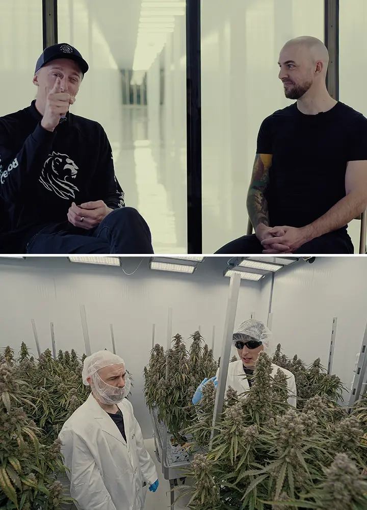 Simon CRIC Labs Cannabis Onderzoek Rol Gids Een illustratie van Simon van CRIC Labs die met Max over zijn onderzoeksrol spreekt, tegen een geavanceerde indoor kweekruimte met cannabisplanten, dataverzameltools en softwareplatforms, op een groene achtergrond.