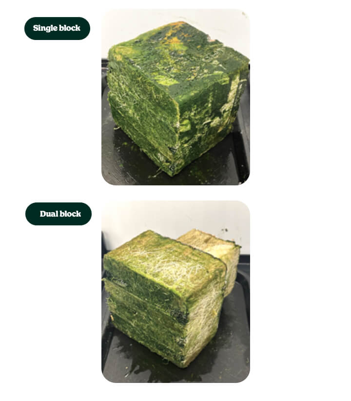 Steenwolsubstraten voor proef 6: single block vs dual block Steenwolblokken gebruikt in cannabisteeltproeven, vergelijking tussen single block en dual block wortelzones