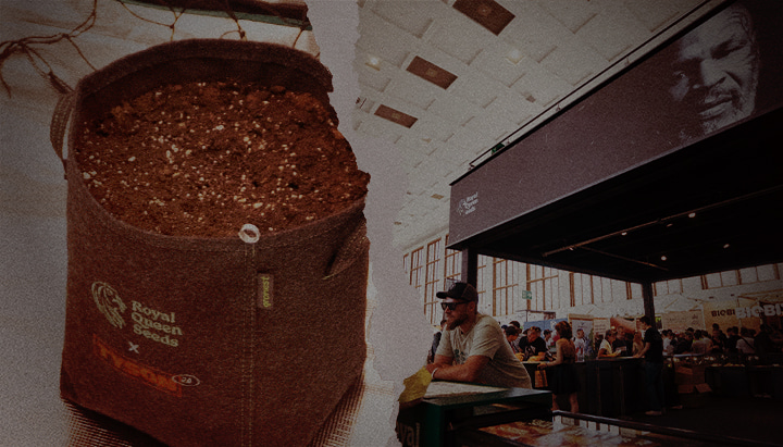 De toekomst zaaien – Royal Queen Seeds x Tyson 2.0 kweekzak op cannabisbeurs Stoffen kweekzak met aarde van Royal Queen Seeds x Tyson 2.0, naast een drukbezochte beursstand met Mike Tysons afbeelding en branding op een cannabis evenement.
