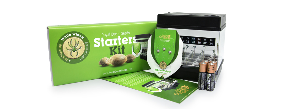 Starter Kit Autoflowering Royal Queen Seeds Starter Kit Autoflowering Royal Queen Seeds