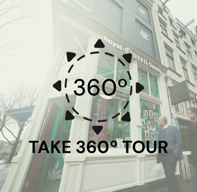RQS Damstraat 46, 1012 JM Amsterdam Google 360º Tour