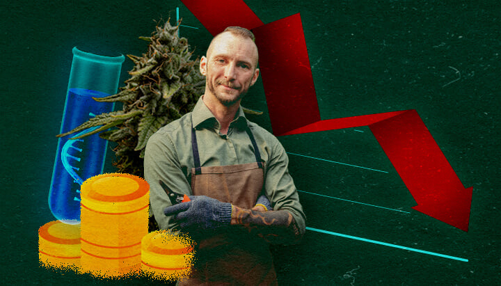 Economische Impact op Weedkwekers Cannabis-kweker met reageerbuis, munten en dalend rood grafiek op groene achtergrond, tonen economische impact.