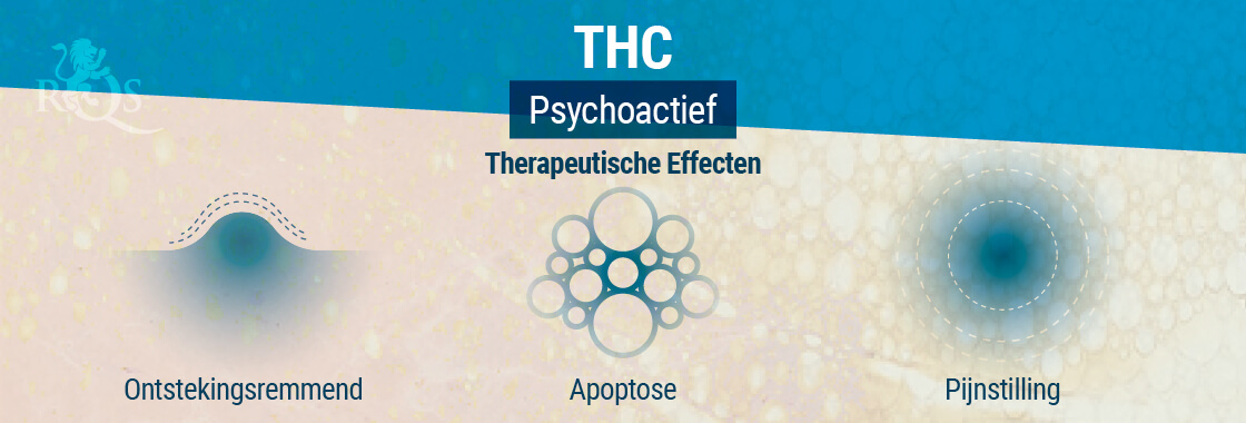 Therapeutische Effecten THC