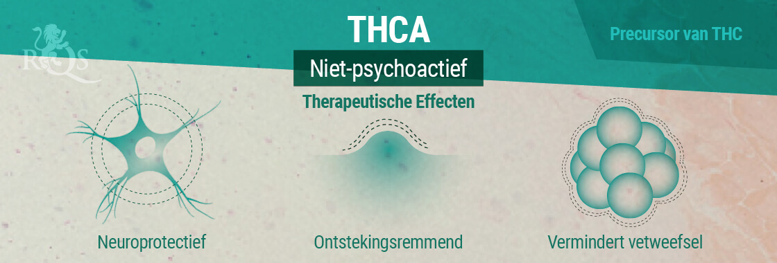Therapeutische Effecten THCA