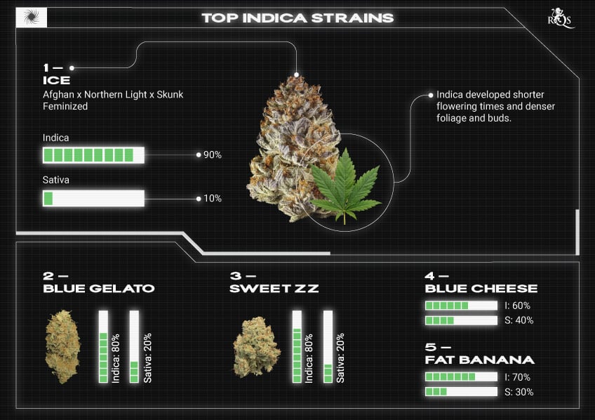 Top RQS Indica Strains