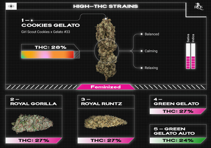 Top RQS High THC Strains
