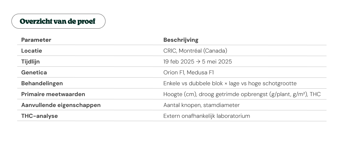Overzicht van de cannabisproef bij CRIC: locatie, data en methodologie Overzichtstabel van de proef met CRIC-locatie, tijdlijn, cannabisgenetica, behandelingen en onderzoeksparameters