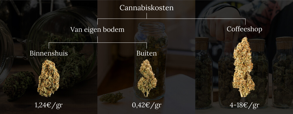 Weed cost homegrown