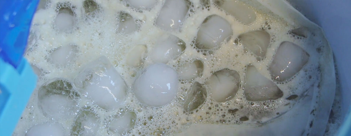 Bubble hash vs. dry ice sift: de verschillen Bubble hash vs. dry ice sift: de verschillen