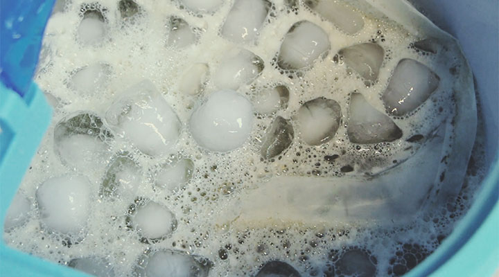 Bubble hash vs. dry ice sift: de verschillen Bubble hash vs. dry ice sift: de verschillen