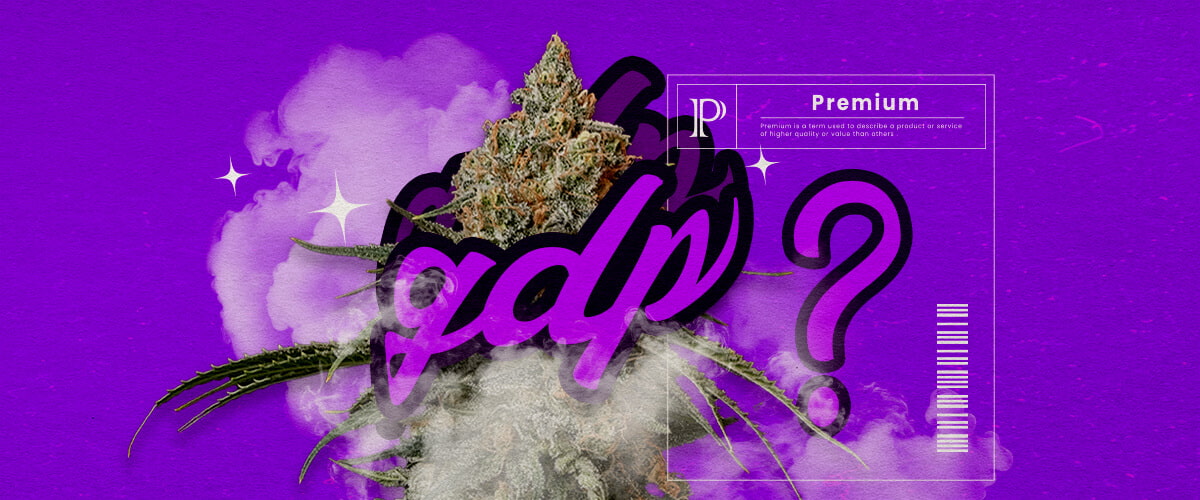 Een illustratie van Granddaddy Purple cannabisbloemen met diepe paarse tinten en een dichte structuur, die de dominante indica-hybride kenmerken en de zoete druifachtige geur benadrukken, tegen een groene achtergrond.