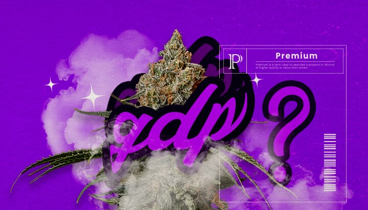 Een illustratie van Granddaddy Purple cannabisbloemen met diepe paarse tinten en een dichte structuur, die de dominante indica-hybride kenmerken en de zoete druifachtige geur benadrukken, tegen een groene achtergrond.