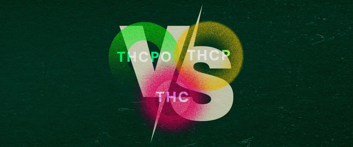 Ontdek de Verschillen tussen THCPO, THCP en THC met deze Levendige Vergelijkingsgrafiek Kleurrijke grafiek die THCPO, THCP en THC vergelijkt met vetgedrukte tekst en levendige groene, roze en gele tinten op een donkergroene achtergrond, ideaal voor cannabisvergelijkingsartikelen.