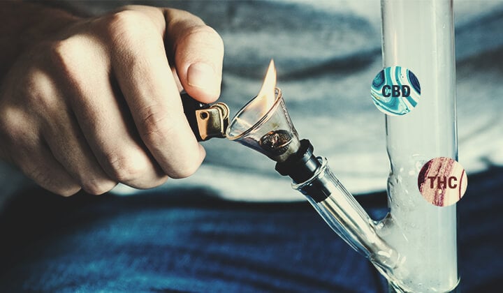 Wat zijn cannabinoïdezuren? Wat zijn cannabinoïdezuren?