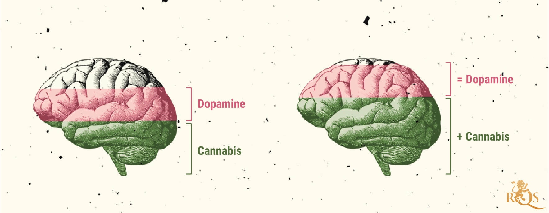 Mogelijke oorzaken van een cannabisgebruiksstoornis