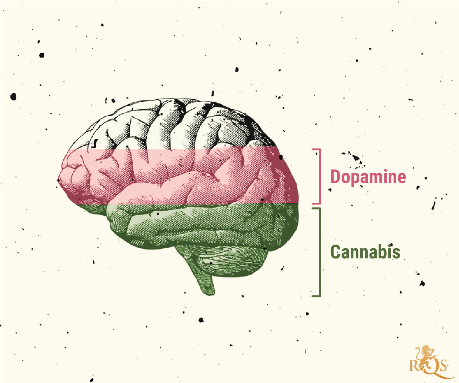 Mogelijke oorzaken van een cannabisgebruiksstoornis