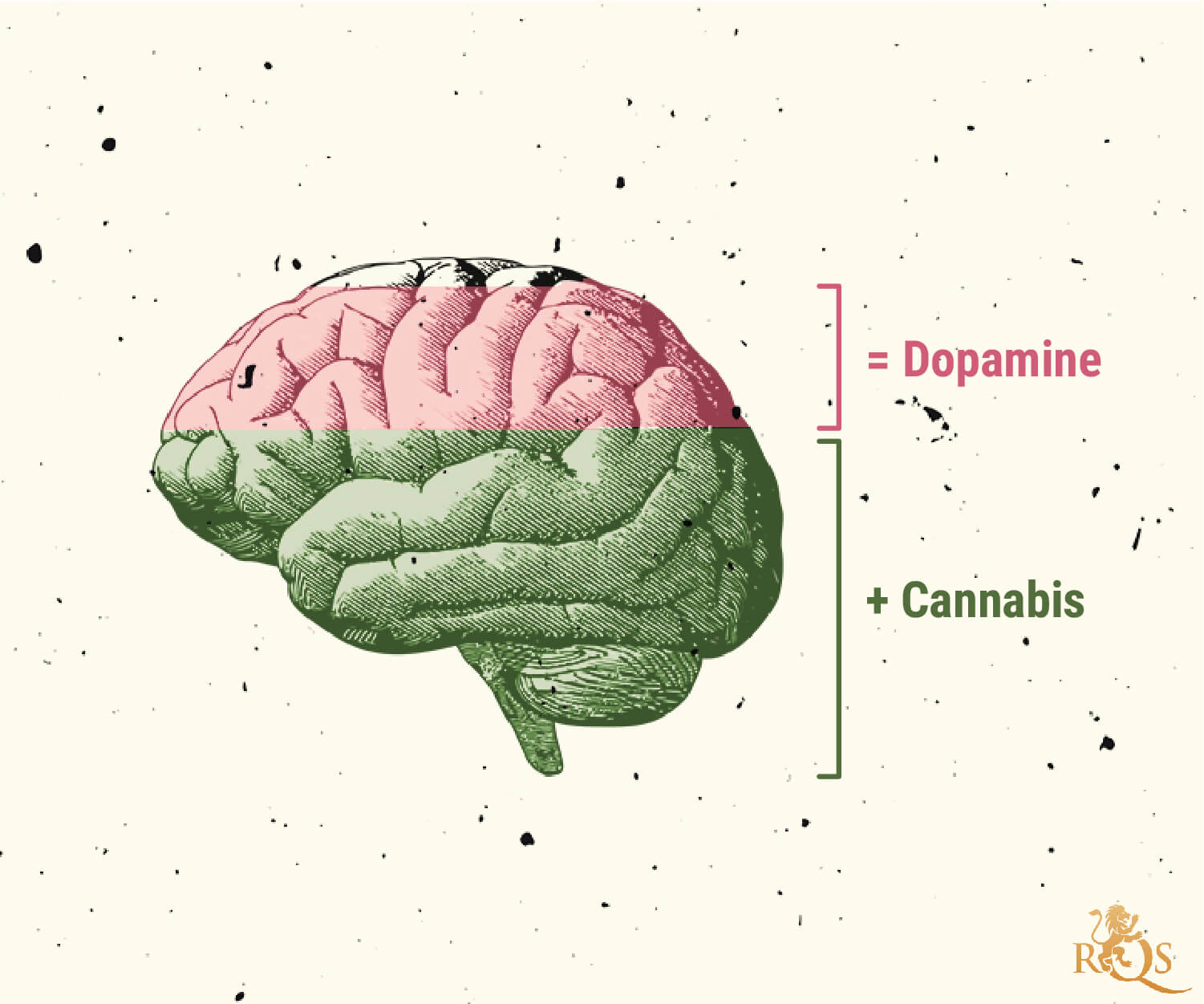 Mogelijke oorzaken van een cannabisgebruiksstoornis