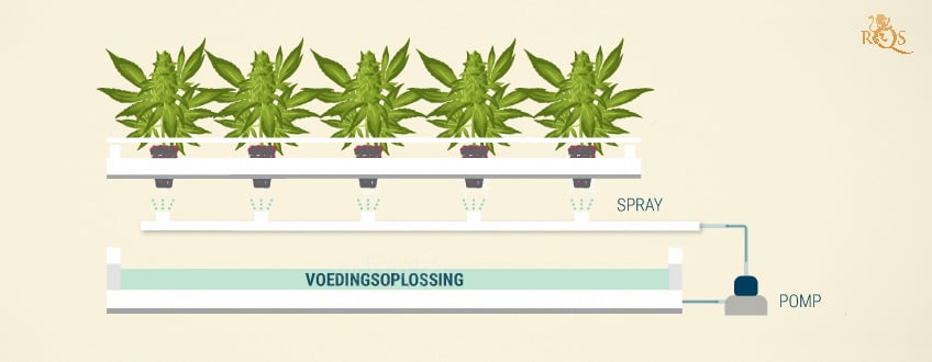 Aeroponics met continue stroming