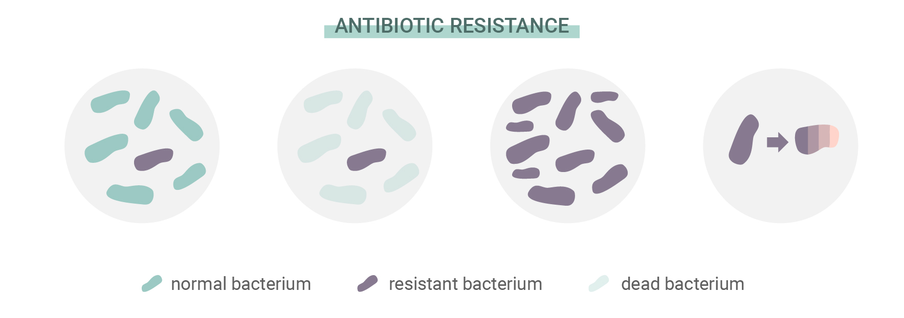 Wat is antibioticaresistentie?