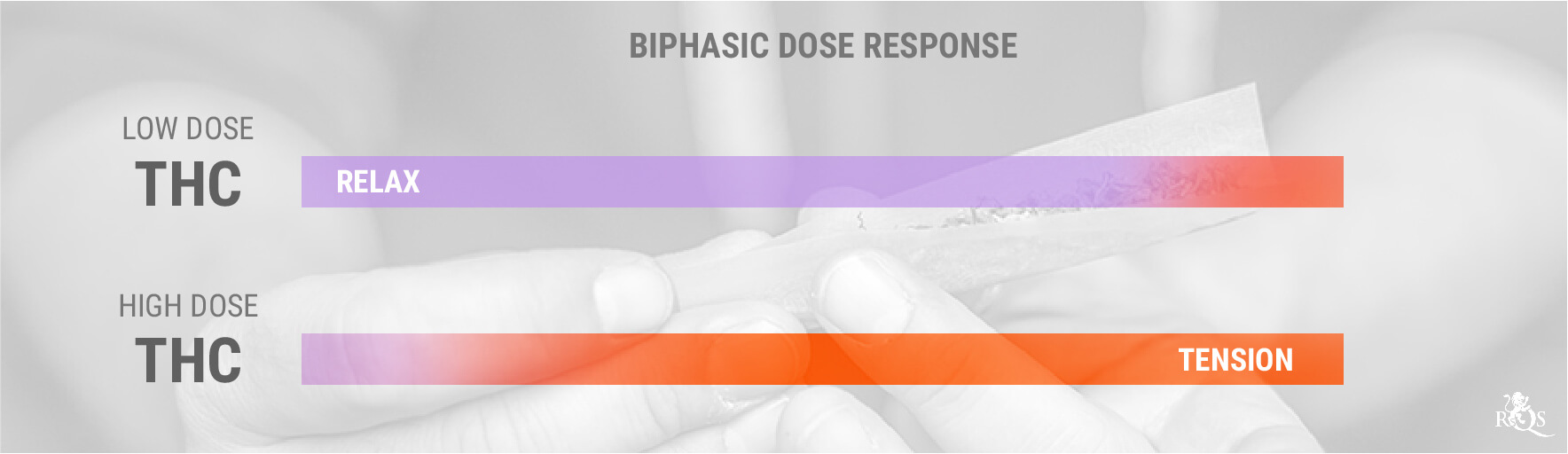 THC en bifasische dosisrespons THC en bifasische dosisrespons