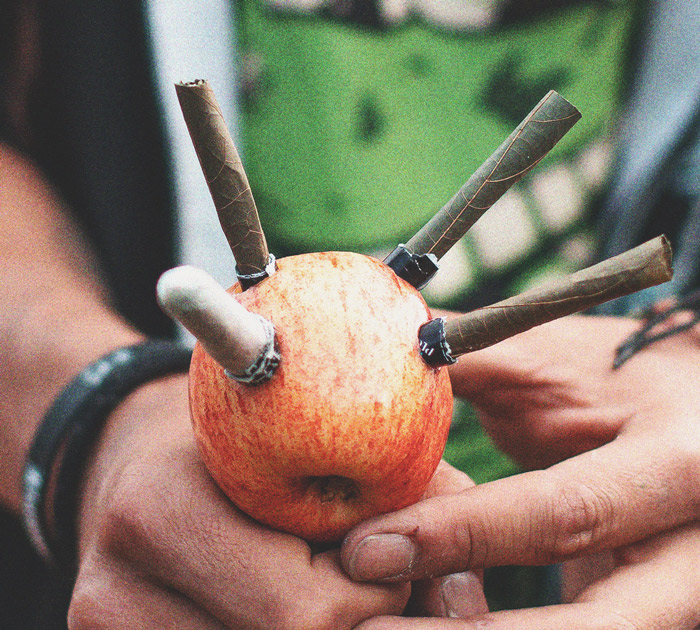 De beste groentes en fruit voor een zelfgemaakte pijp De beste groentes en fruit voor een zelfgemaakte pijp