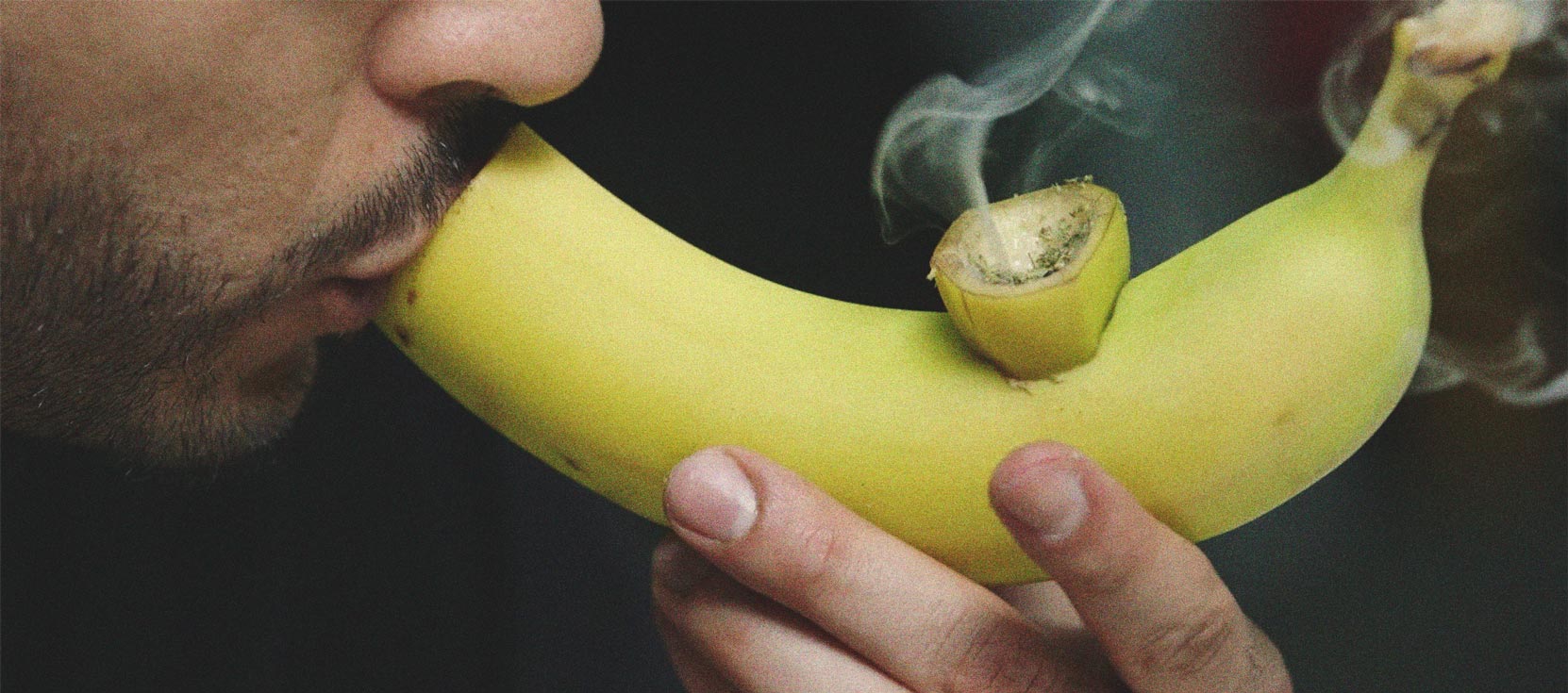 De beste groentes en fruit voor een zelfgemaakte pijp De beste groentes en fruit voor een zelfgemaakte pijp