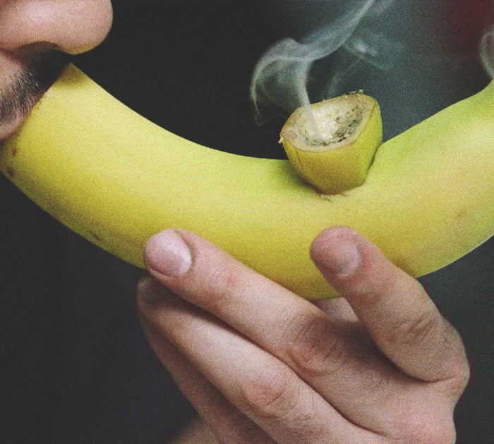 De beste groentes en fruit voor een zelfgemaakte pijp De beste groentes en fruit voor een zelfgemaakte pijp