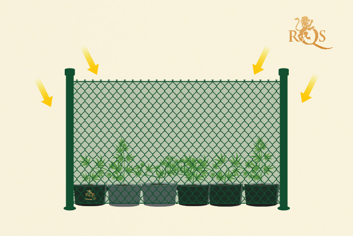 Groene gaasomheining om uw plant te verbergen
