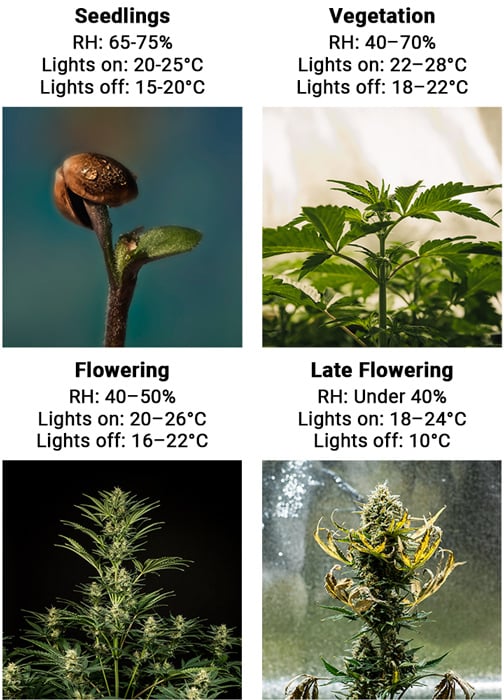 Humidity and Temperarure in Every Stage