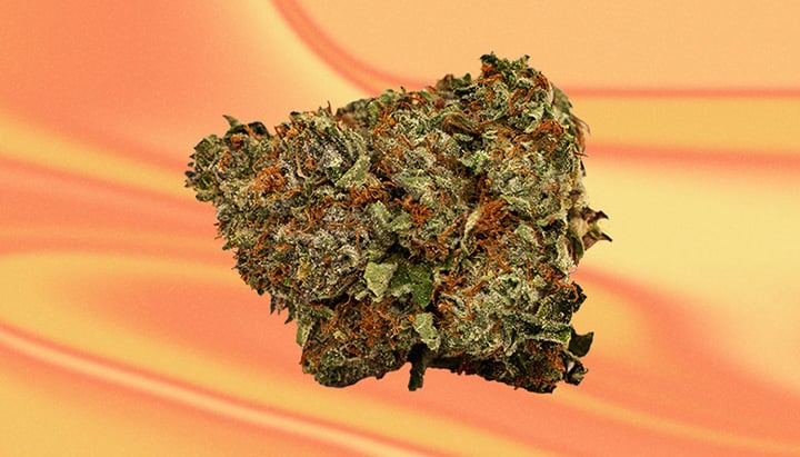 Chemdawg Cannabis Strain