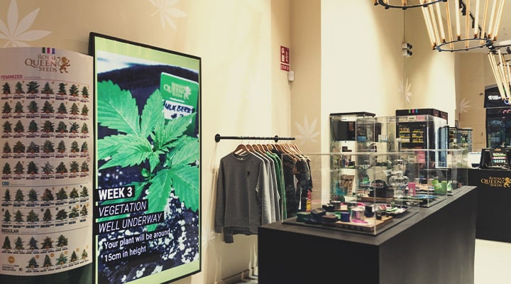 Royal Queen Seeds Komt Naar Barcelona Royal Queen Seeds Komt Naar Barcelona