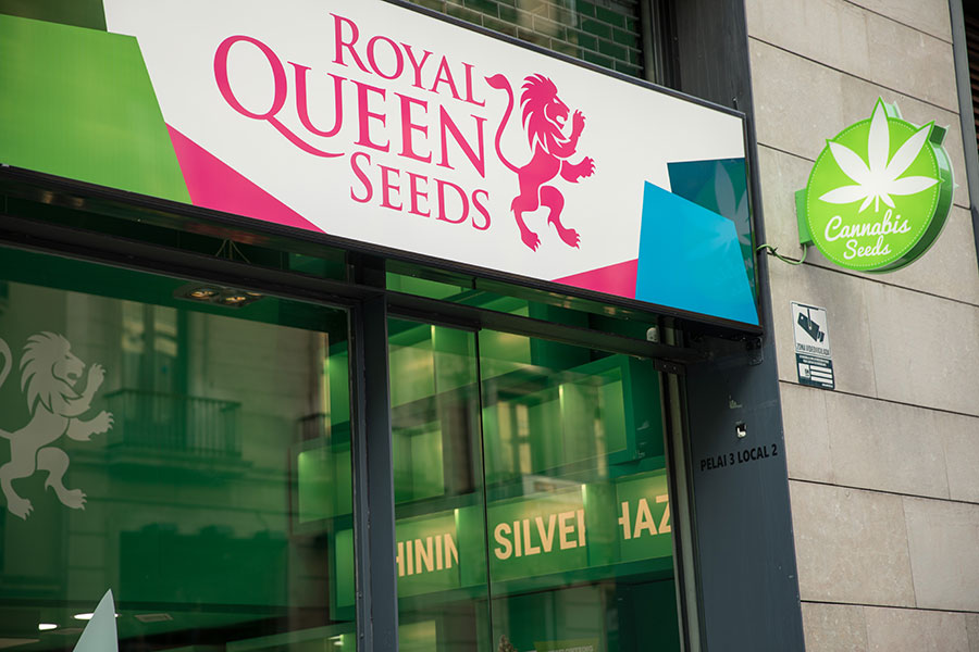 Bezoek de winkel van Royal Queen Seeds in Barcelona