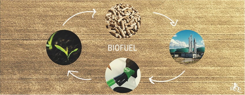 What Exactly Are Biofuels? What Exactly Are Biofuels?