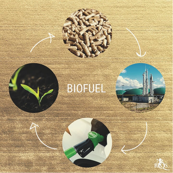 What Exactly Are Biofuels? What Exactly Are Biofuels?