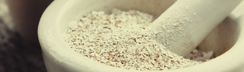 Eggshell Eggshell