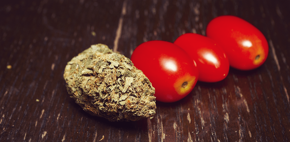 bloody mary cannabis drank tinctuur doordrenkt smakelijk tomatensap wiet
