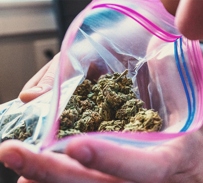 Wat is 'reggie weed' en kun je het roken? Wat is 'reggie weed' en kun je het roken?