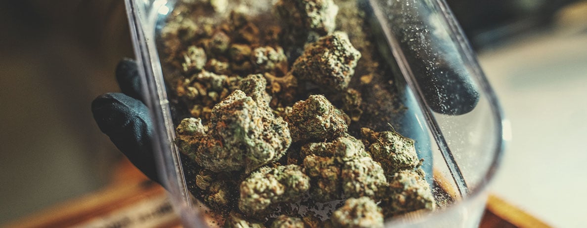 Werken als budtender Werken als budtender