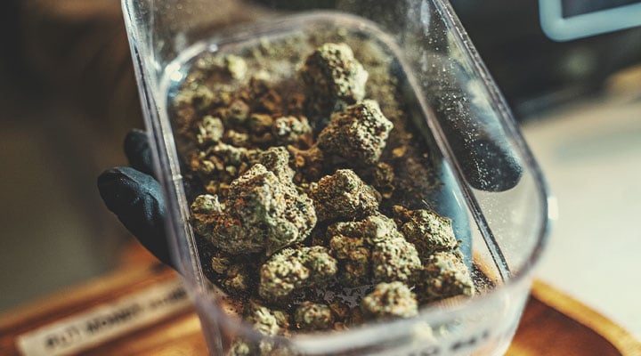 Werken als budtender Werken als budtender