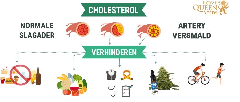 Cholesterol en cannabis