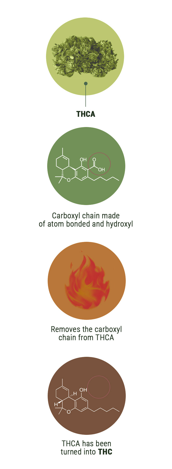 Wat Is het Verschil tussen THCV en THC?