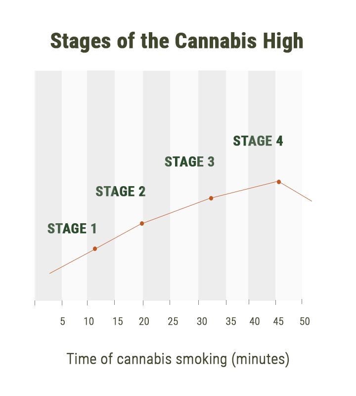 Stadia van de Cannabis-high Stadia van de Cannabis-high