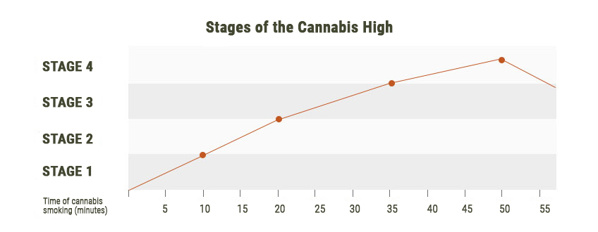 Stadia van de Cannabis-high Stadia van de Cannabis-high
