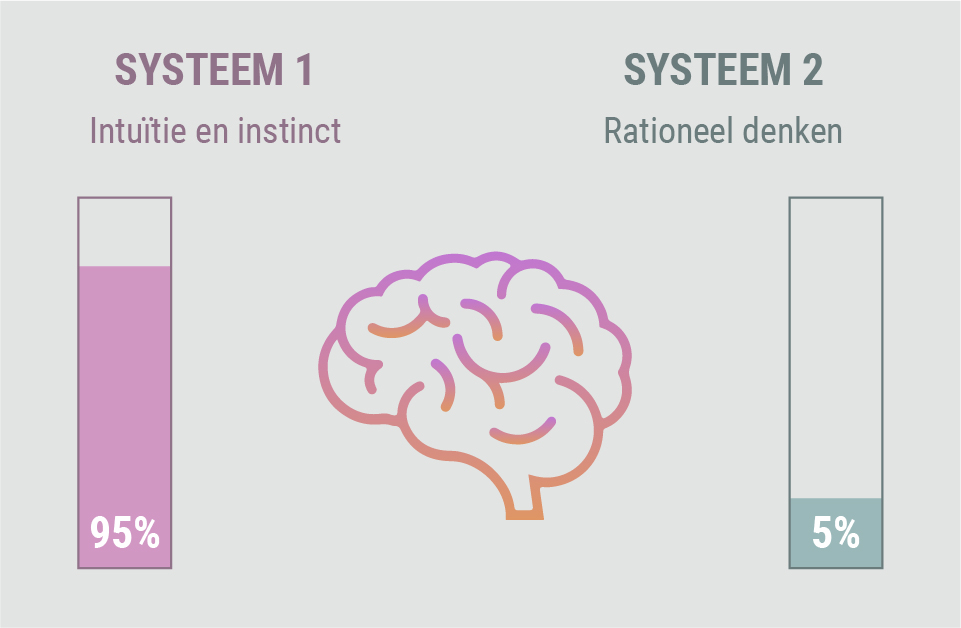 Hoe werkt het geheugen? Hoe werkt het geheugen?